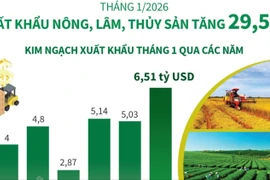 Tháng 1/2026: Xuất khẩu nông, lâm, thủy sản tăng 29,5%