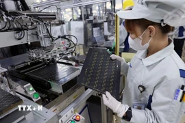 Sản xuất bảng mạch in dùng cho các thiết bị điện tử tại nhà máy của Công ty Trách nhiệm hữu hạn Mektec Manufacturing Việt Nam tại khu công nghiệp Thăng Long II, phường Mỹ Hào, tỉnh Hưng Yên. (Ảnh: Vũ Sinh/TTXVN)
