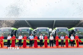 Ảnh minh họa. (Ảnh: TTXVN phát)