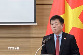 Đại sứ Vũ Hồ, Bí thư Đảng ủy tại Hàn Quốc, phát biểu chỉ đạo tại Hội nghị. (Ảnh: Đức Thắng/TTXVN)