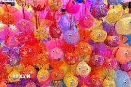 Các mẫu đèn lồng truyền thống do gia đình bà Hoàng Kiện Đệ chế tác. (Ảnh: Mạc Luyện/TTXVN)