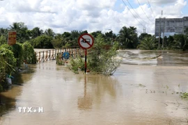 Lâm Đồng: Mưa lớn gây ngập cục bộ nhiều khu vực, nhất là diện tích nông nghiệp