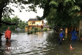 Mưa lớn kéo dài nhiều ngày khiến nước sông suối lên cao. (Ảnh: Anh Dũng/TTXVN)