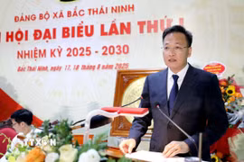 Bí thư Tỉnh ủy Hưng Yên Nguyễn Hữu Nghĩa phát biểu tại Đại hội. (Ảnh: Thế Duyệt/TTXVN)