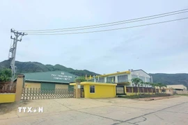 Công ty Trách nhiệm hữu hạn Phúc Thịnh Gia Lai không còn dấu hiệu hoạt động nhiều tháng nay. (Ảnh tư liệu: Quang Thái/TTXVN)