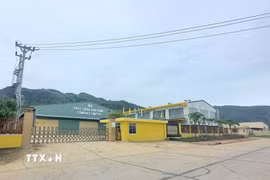 Công ty Trách nhiệm hữu hạn Phúc Thịnh Gia Lai không còn dấu hiệu hoạt động nhiều tháng nay. (Ảnh tư liệu: Quang Thái/TTXVN)