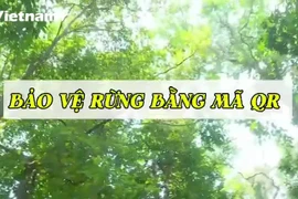 Mã QR được gắn trên cây di sản: Lan tỏa tình yêu và ý thức bảo vệ rừng