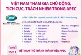 Việt Nam tham gia chủ động, tích cực, trách nhiệm trong APEC