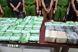 Ảnh minh họa. (Ảnh: TTXVN)