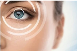 Đột phá phục hồi thị lực lão hóa nhờ axit béo.