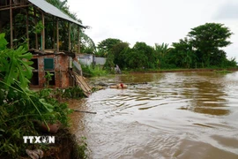 Điểm sạt lở bờ sông Tiền vào tối ngày 13/10/2025, tại ấp Tân Quới, xã Tân Long (tỉnh Đồng Tháp). (Ảnh: Nhựt An/TTXVN) 