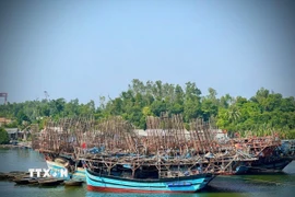 Tàu câu mực của ngư dân huyện Núi Thành vươn khơi vào sáng 5/2/2025, (tức Mùng 8 tháng Giêng). (Ảnh: Đoàn Hữu Trung/TTXVN)