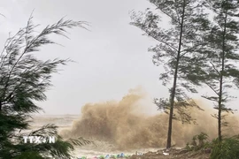 Hà Tĩnh: Bão số 5 gây sóng to, gió mạnh tại khu vực đê Hội Thống 