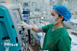 Ảnh minh họa. (Ảnh: Minh Quyết/TTXVN)