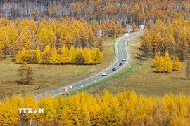 Chiêm ngưỡng cảnh đẹp mùa thu trên khắp thế giới