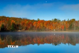 Cảnh đẹp mùa thu tại Huntsville, Ontario, Canada. (Ảnh: THX/TTXVN)