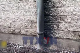 Hà Lan: Nổ tại trường học Do Thái ở Amsterdam