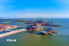 Hoạt động xuất nhập khẩu tại Cảng nước sâu Gemalink (Bà Rịa-Vũng Tàu). (Ảnh: Hồng Đạt/TTXVN))