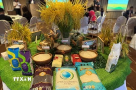 Các loại gạo Việt Nam được giới thiệu tại hội thảo kết nối giao thương ở Hong Kong. (Ảnh: Mạc Luyện/TTXVN)