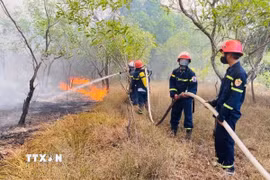 Lực lượng Cảnh sát phòng cháy chữa cháy nỗ lực dập tắt vụ cháy rừng tràm tại khu vực giáp ranh xã Nam Cửa Việt và Triệu Cơ. (Ảnh: TTXVN phát)