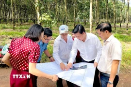 Lãnh đạo xã Nha Bích, tỉnh Đồng Nai kiểm tra thực địa công tác giải phóng mặt bằng Dự án cao tốc Bắc-Nam phía Tây, đoạn Gia Nghĩa-Chơn Thành tại khu vực ấp Minh Lập 4 xã Nha Bích. (Ảnh: Nhật Bình/TTXVN)