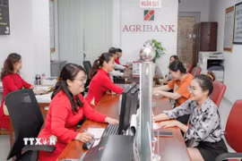Khách hàng giao dịch tại Agribank Chi nhánh Bến Thành, Thành phố Hồ Chí Minh. (Ảnh: TTXVN phát)