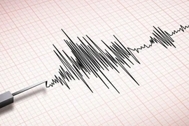 Ảnh minh họa. (Nguồn: Freepik)