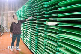 Hệ thống sấy khô công nghiệp bánh đa nem giúp cơ sở của anh Trần Ngọc Nghĩa ở thôn Trần Xá, xã Nam Xang chủ động trong khâu sản xuất, không bị gián đoạn bởi yếu tố thời tiết. (Ảnh: Nguyễn Chinh/TTXVN) 