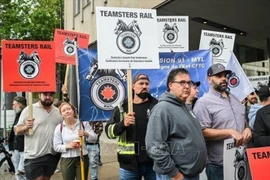 Ảnh minh họa. (Ảnh tư liệu: Getty Images/TTXVN)