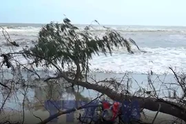 Sạt lở có thể “nuốt chửng” bãi biển Mỹ Khê