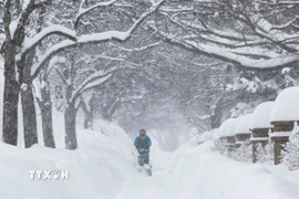 Canada tuyết phủ trắng xóa. (Ảnh: THX/TTXVN)