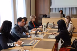 Tham tán Công sứ Phạm Quang Huy - Phó Trưởng Phái đoàn Việt Nam tại Geneva cho biết Việt Nam đã chính thức có công hàm gửi Tổng Giám đốc WTO và các Uỷ ban liên quan. (Ảnh: Anh Hiển/TTXVN)