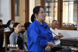 Bị cáo Nguyễn Thị Hồng Bích trước tòa. (Ảnh: Sỹ Tuyên/TTXVN) 