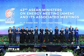 Các đại biểu tại cuộc họp quan chức cấp cao về năng lượng của ASEAN. (Ảnh: TTXVN phát) 