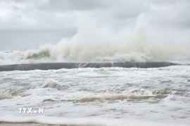 Ảnh minh họa. (Ảnh: Mai Trang/TTXVN)