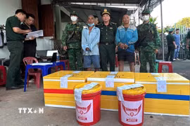 2 đối tượng Nguyễn Lệnh và Nguyễn Hữu Nhân là cha con, cùng trú tại xã Tịnh Khê, tỉnh Quảng Ngãi. (Ảnh: TTXVN phát)