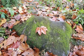 Đánh thức tiềm năng kết nối du lịch xanh trên con đường đá cổ Pavie