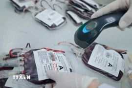 (Ảnh minh họa. Nguồn: TTXVN)