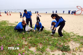 Tuổi trẻ Đà Nẵng ra quân dọn vệ sinh môi trường biển tại Ngày hội. (Ảnh: Trần Lê Lâm/TTXVN)