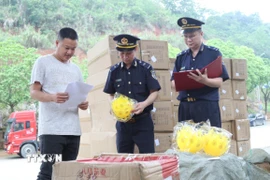 Lực lượng Hải quan cửa khẩu Cốc Nam (Lạng Sơn) tra soát mã, chủng loại hàng nhập khẩu qua cửa khẩu. Ảnh: (Quang Duy /TTXVN)