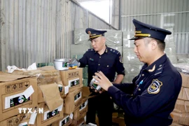 Lực lượng Hải quan cửa khẩu quốc tế Hữu Nghị (Lạng Sơn) kiểm tra nhãn mác hàng hóa nhập khẩu tại kho bãi khu vực cửa khẩu. (Ảnh: Quang Duy/TTXVN)