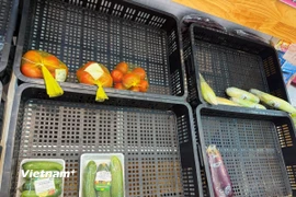 Ảnh minh họa. (Nguồn: Vietnam+)