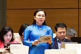 Đại biểu Quốc hội tỉnh An Giang Lý Anh Thư phát biểu. (Ảnh: Doãn Tấn/TTXVN) 