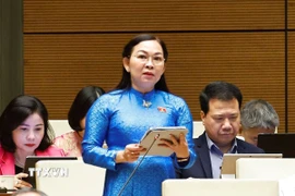 Đại biểu Quốc hội tỉnh An Giang Lý Anh Thư phát biểu. (Ảnh: Doãn Tấn/TTXVN) 