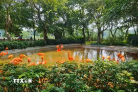 Công viên đất ngập nước Tinh Hồ - Trung tâm bảo tồn chim quý hiếm ở Trung Quốc