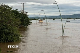 Gia Lai: Sạt lở gây chia cắt giao thông, nhiều khu vực ngập lụt do lũ sông Ba 
