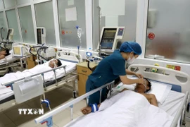 Ảnh minh họa. (Ảnh: Văn Tý/TTXVN)