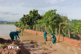 Lực lượng chức năng khắc phục hậu quả bão số 13. (Ảnh: Hồng Điệp/TTXVN)