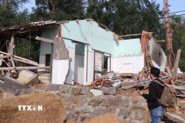 Triều cường gây sạt lở nghiêm trọng bờ biển các xã phía Nam tỉnh Quảng Ngãi