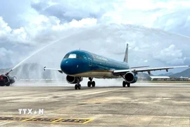 Tàu bay của Hãng hàng không Quốc gia Việt Nam. (Ảnh: Trần Lê Lâm/TTXVN) 